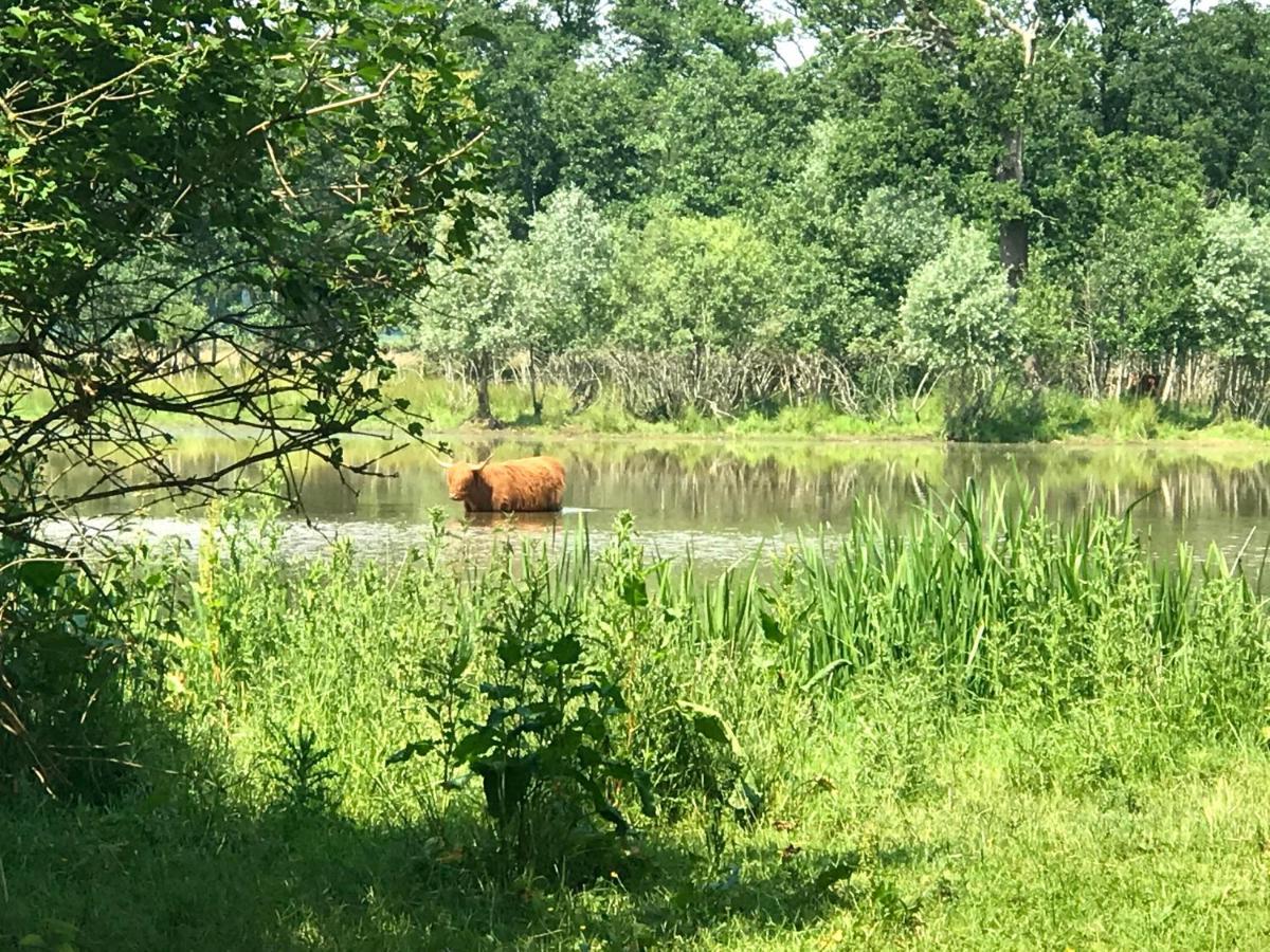 In De Tuin In Gees Villa Exteriör bild