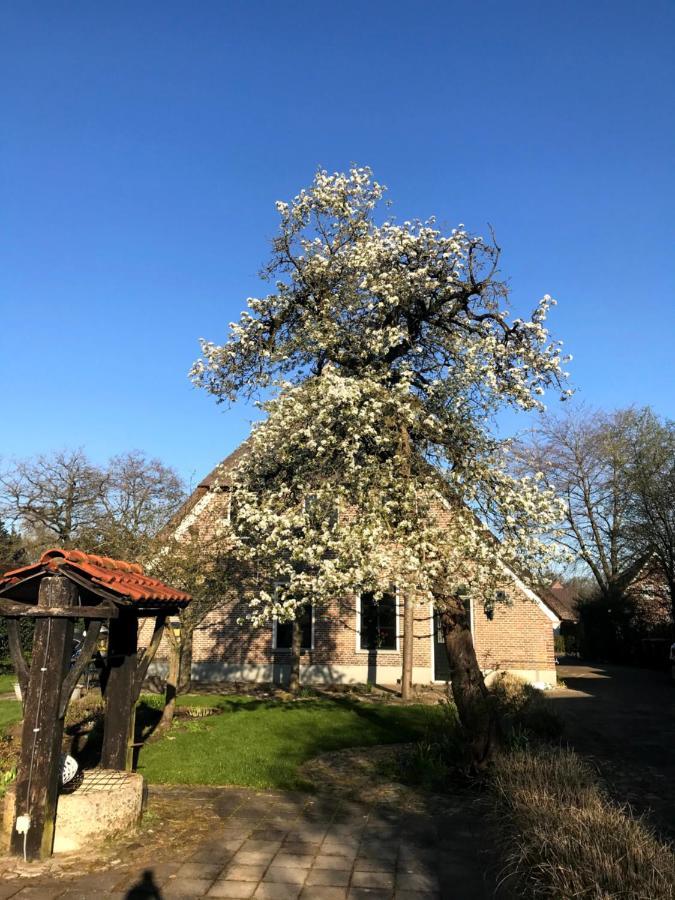 In De Tuin In Gees Villa Exteriör bild